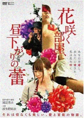 与狼共舞 修复版
